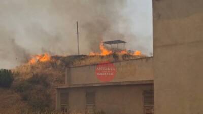 Hatay’da dünden beri süren orman yangınlarıyla mücadele devam ederken, Mustafa