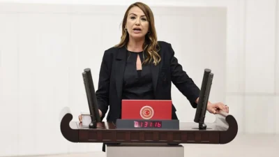 Cumhuriyet Halk Partisi (CHP) Hatay Milletvekili ve TBMM Katip Üyesi