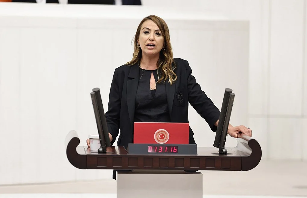 Cumhuriyet Halk Partisi (CHP) Hatay Milletvekili ve TBMM Katip Üyesi