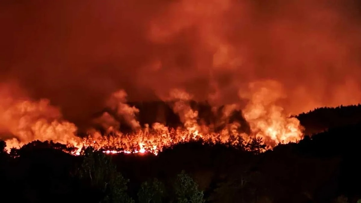 Türkiye genelinde etkili olan orman yangınları, doğayı, yerleşim alanlarını ve