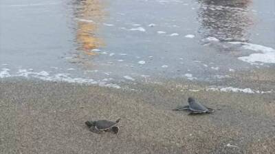 Hatay’ın Samandağ sahilinde, doğanın en mucizevi anlarından biri yaşandı. Saat