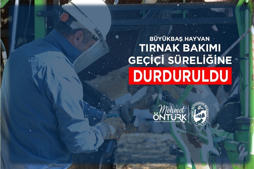 Hatay Büyükşehir Belediyesi (HBB), Türkiye genelinde şap hastalığı vakalarında yaşanan
