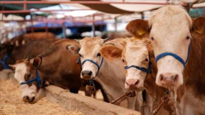 Tarım ve Orman Bakanlığı, Türkiye genelinde alarm veren SAT-1 tipi