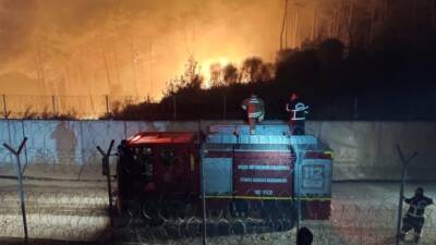 Suriye'nin Lazkiye bölgesinde günlerdir süren orman yangını, Türkiye sınırına ulaştı.