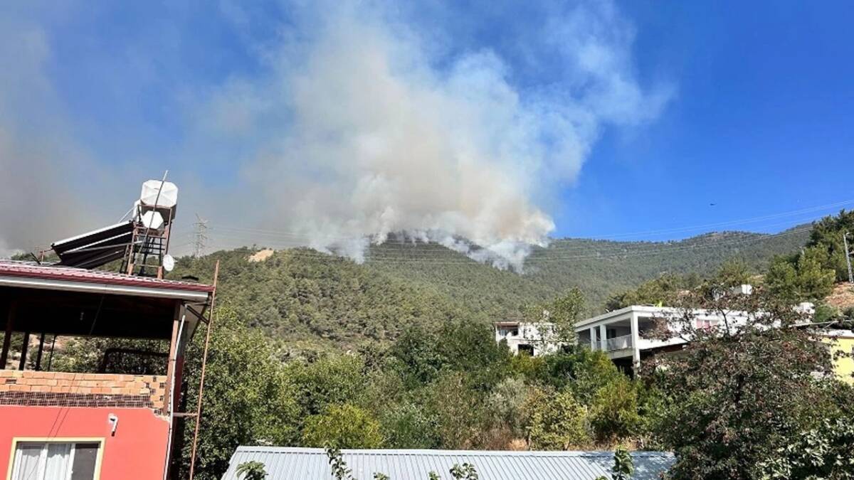 Hatay’ın Antakya ilçesine bağlı Karaali Mahallesi’nde dün sabah başlayan orman
