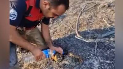 Hatay’ın Defne ilçesi Ballıöz Mahallesi’nde makilik alanda çıkan yangın itfaiye