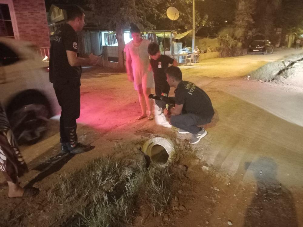 Hatay’ın Samandağ ilçesinde kanalizasyon borusuna sıkışan yavru sokak köpeği, vatandaşların