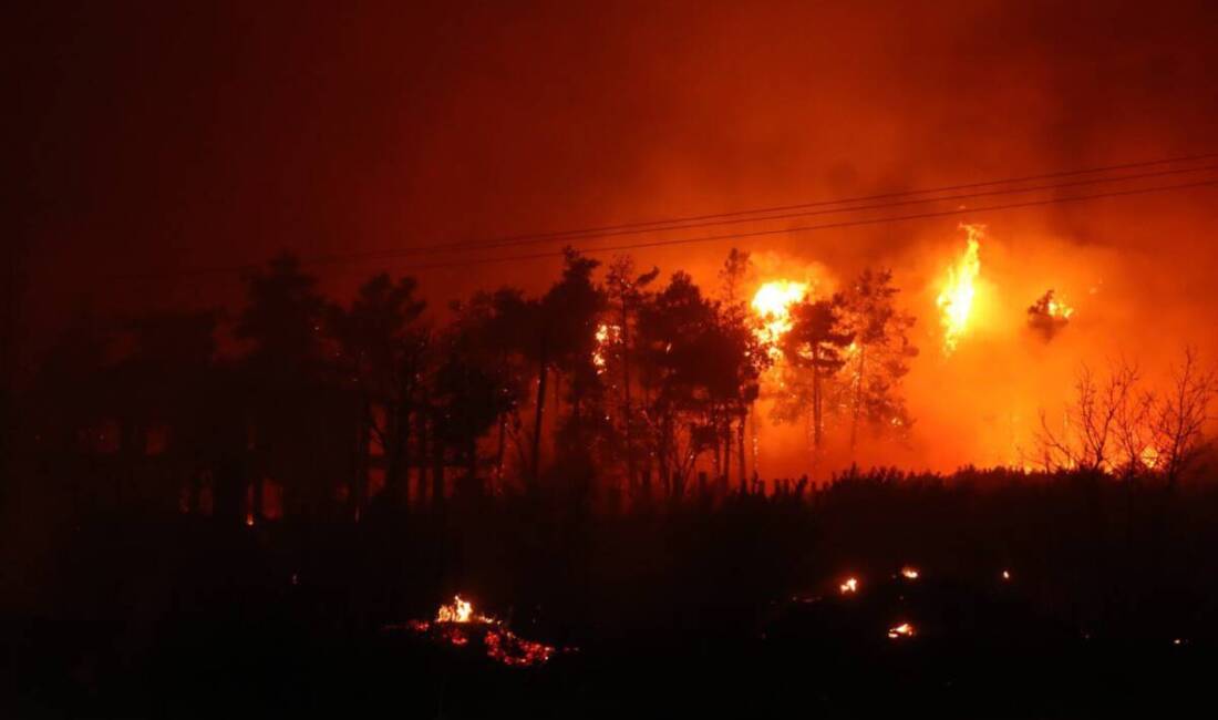 Hatay’ın Yayladağı ilçesi Çaksına Mahallesi mevkiinde 14 Ağustos 2025 Perşembe