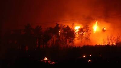 Hatay’ın Yayladağı ilçesi Çaksına Mahallesi mevkiinde 14 Ağustos 2025 Perşembe