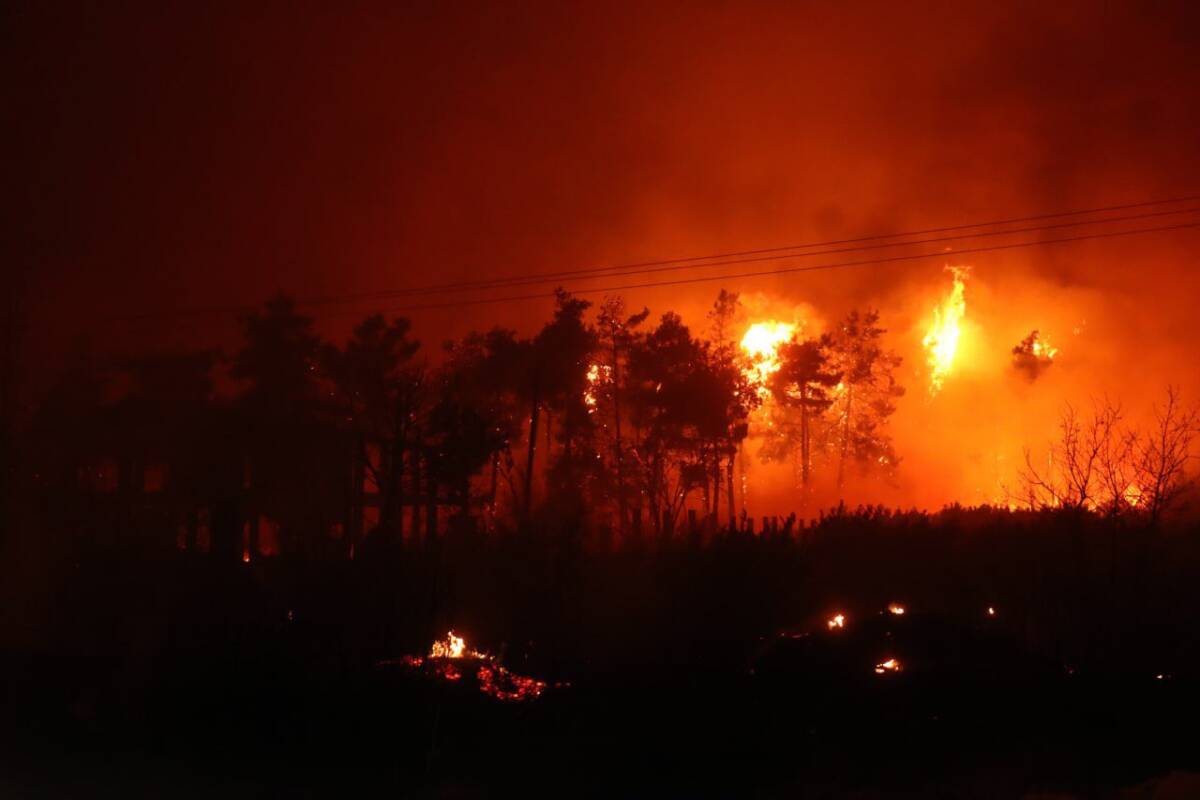 Hatay’ın Yayladağı ilçesi Çaksına Mahallesi mevkiinde 14 Ağustos 2025 Perşembe