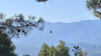 Hatay’ın Samandağ ilçesine bağlı Batıayaz Mahallesi’nde bulunan ormanlık alanda çıkan