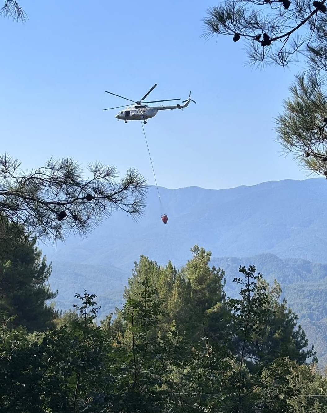 Hatay’ın Samandağ ilçesine bağlı Batıayaz Mahallesi’nde bulunan ormanlık alanda çıkan