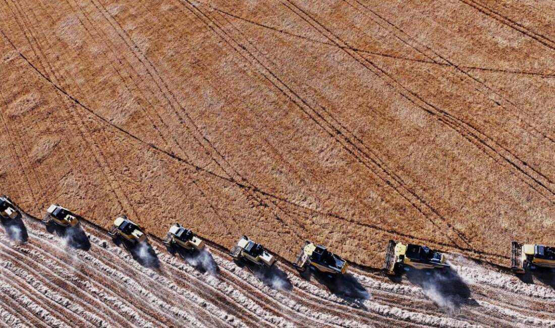 Türkiye’de tarım sektöründeki maliyet baskısı artmaya devam ediyor. Tarımsal Girdi