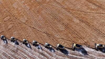 Türkiye’de tarım sektöründeki maliyet baskısı artmaya devam ediyor. Tarımsal Girdi