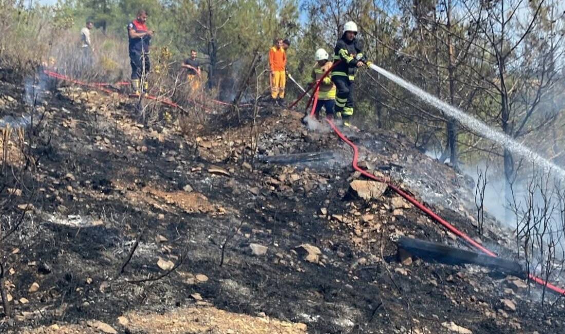 Hatay’ın Arsuz ilçesi Yukarıkepirce Mahallesi’nde ormanlık alanda çıkan yangın, ekiplerin