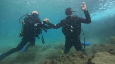 Hatay Büyükşehir Belediyesi (HBB), deniz ekosistemini korumak ve sürdürülebilir balıkçılığı