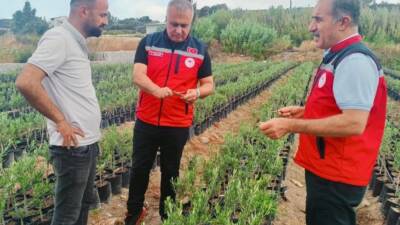 Hatay’ın Samandağ ilçesinde, meyve fidancılığının gelişimi için önemli bir merkez