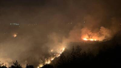 Hatay’ın Yayladağı ilçesinde dün öğleden sonra başlayan orman yangını hâlâ