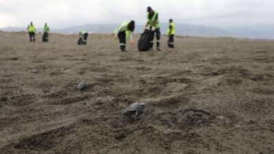 Hatay Büyükşehir Belediyesi, sahil ve deniz temizliği çalışmalarıyla hem çevre