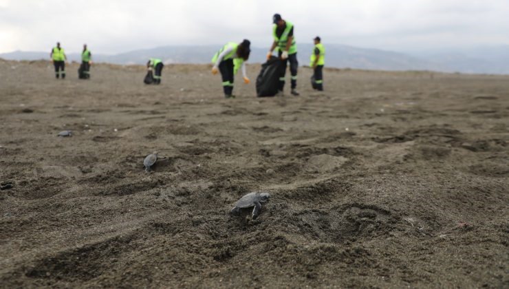 Hatay Büyükşehir Belediyesi, sahil ve deniz temizliği çalışmalarıyla hem çevre