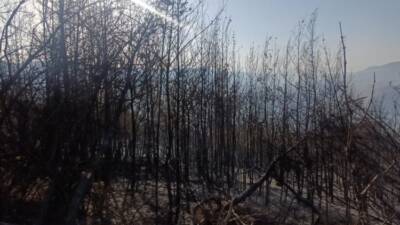 Hatay’ın Yayladağı ilçesine bağlı Arslanyazı Mahallesi’nde saat 15.30 civarında başlayan