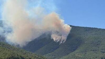 Hatay’ın Hassa ilçesi Yukarıbucak Mahallesi’nde 13 Ağustos 2025 Çarşamba günü