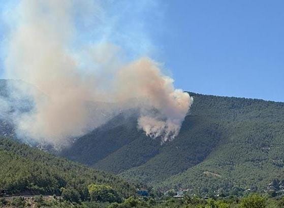Hatay’ın Hassa ilçesi Yukarıbucak Mahallesi’nde 13 Ağustos 2025 Çarşamba günü