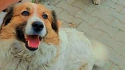 Kahramanmaraş merkezli depremler sebebiyle Ankara’ya getirilen ve uzun süre ayrı