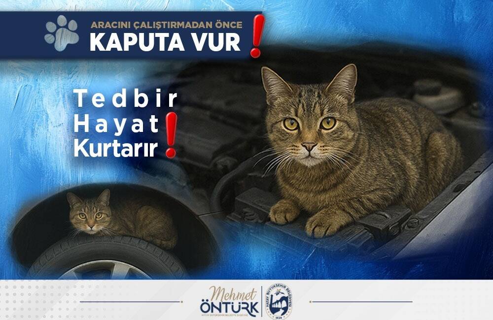 Hatay Büyükşehir Belediyesi (HBB) İtfaiye Dairesi Başkanlığı, yalnızca yangın, trafik