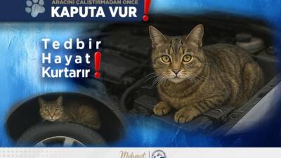 Hatay Büyükşehir Belediyesi (HBB) İtfaiye Dairesi Başkanlığı, yalnızca yangın, trafik