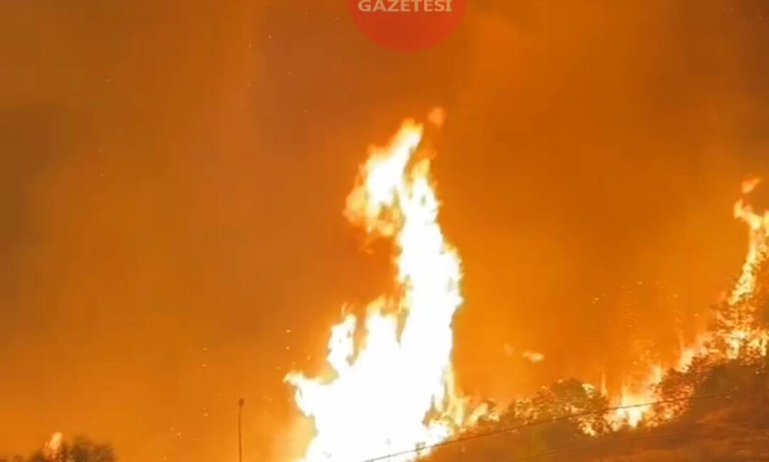 Hatay Büyükşehir Belediyesi İtfaiye Daire Başkanı Ahmet Keskin, Yayladağı Kışlak