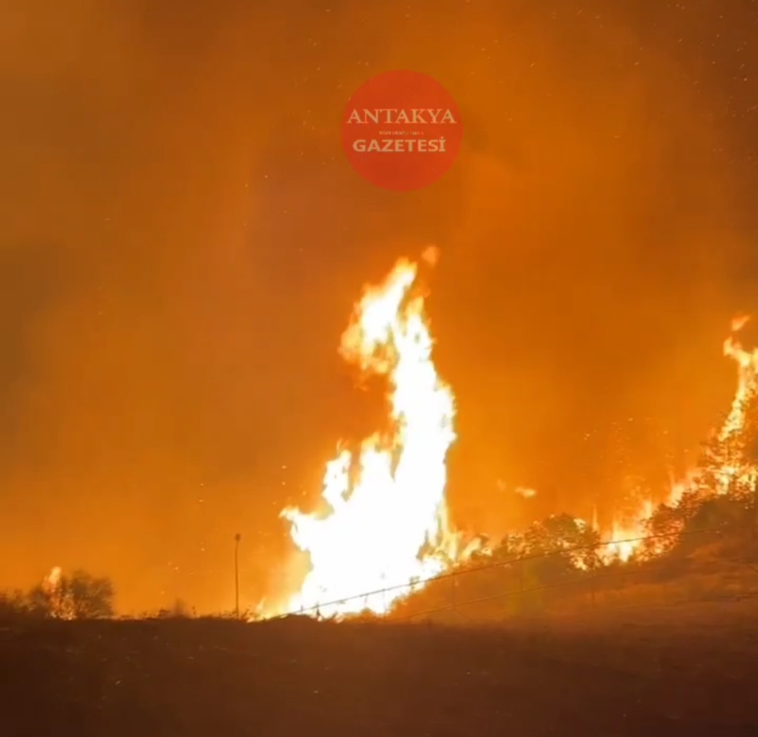 Hatay Büyükşehir Belediyesi İtfaiye Daire Başkanı Ahmet Keskin, Yayladağı Kışlak