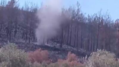 Hatay’da orman yangınından geriye kalan küle dönmüş alanlarda oluşan hortumlar,