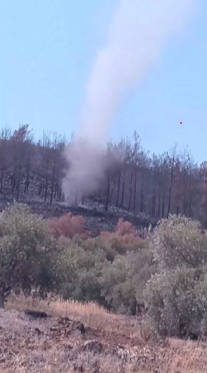 Hatay’da orman yangınından geriye kalan küle dönmüş alanlarda oluşan hortumlar,