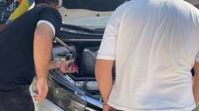 Hatay’ın Defne ilçesinde, park halindeki bir aracın kaputuna giren yavru