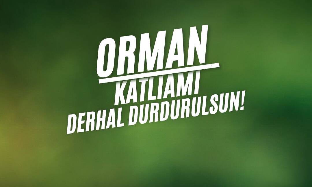 Tiryaki: “Hatay kimsenin rant alanı değil” CHP Hatay İl Başkanı Hakan Tiryaki, Serinyol Yıldırım Deresi Mesire