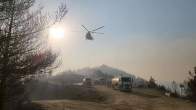 Hatay’ın Hassa ilçesinde geçtiğimiz akşam saatlerinde orman yangını çıktı. Yukarıbucak