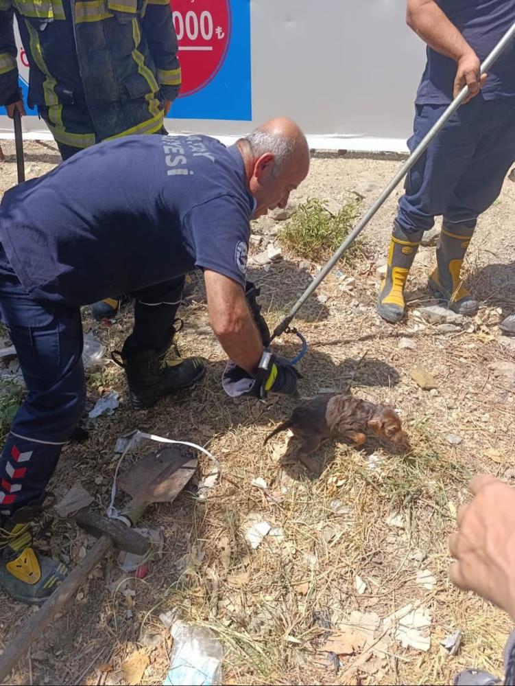 Hatay’ın Samandağ ilçesinde bir yavru köpek, kuyuya düşmesi sonucu mahsur