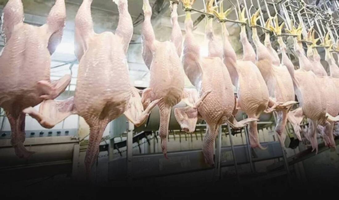 Suriye hükümeti, Türkiye’den ithal edilen 20 tarım ve hayvancılık ürününün