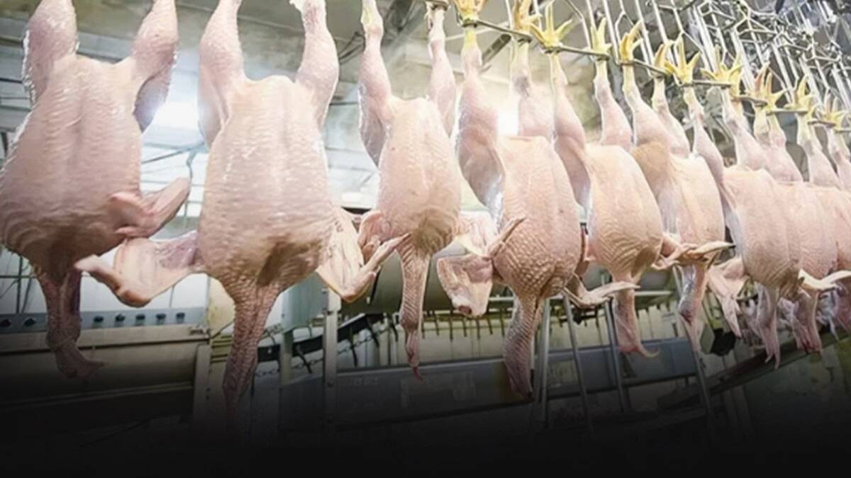 Suriye hükümeti, Türkiye’den ithal edilen 20 tarım ve hayvancılık ürününün