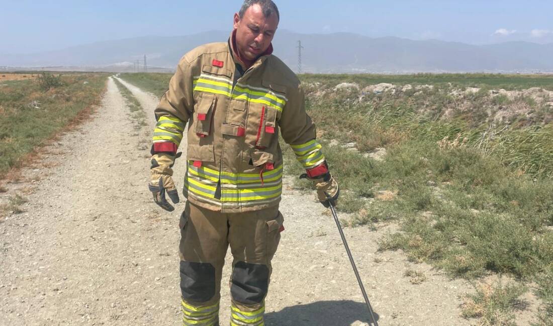 Ev sakinleri yılanla baş edemedi Hatay’ın merkez ilçesi Antakya’da Suvatlı Mahallesi’ndeki bir eve giren yılan,
