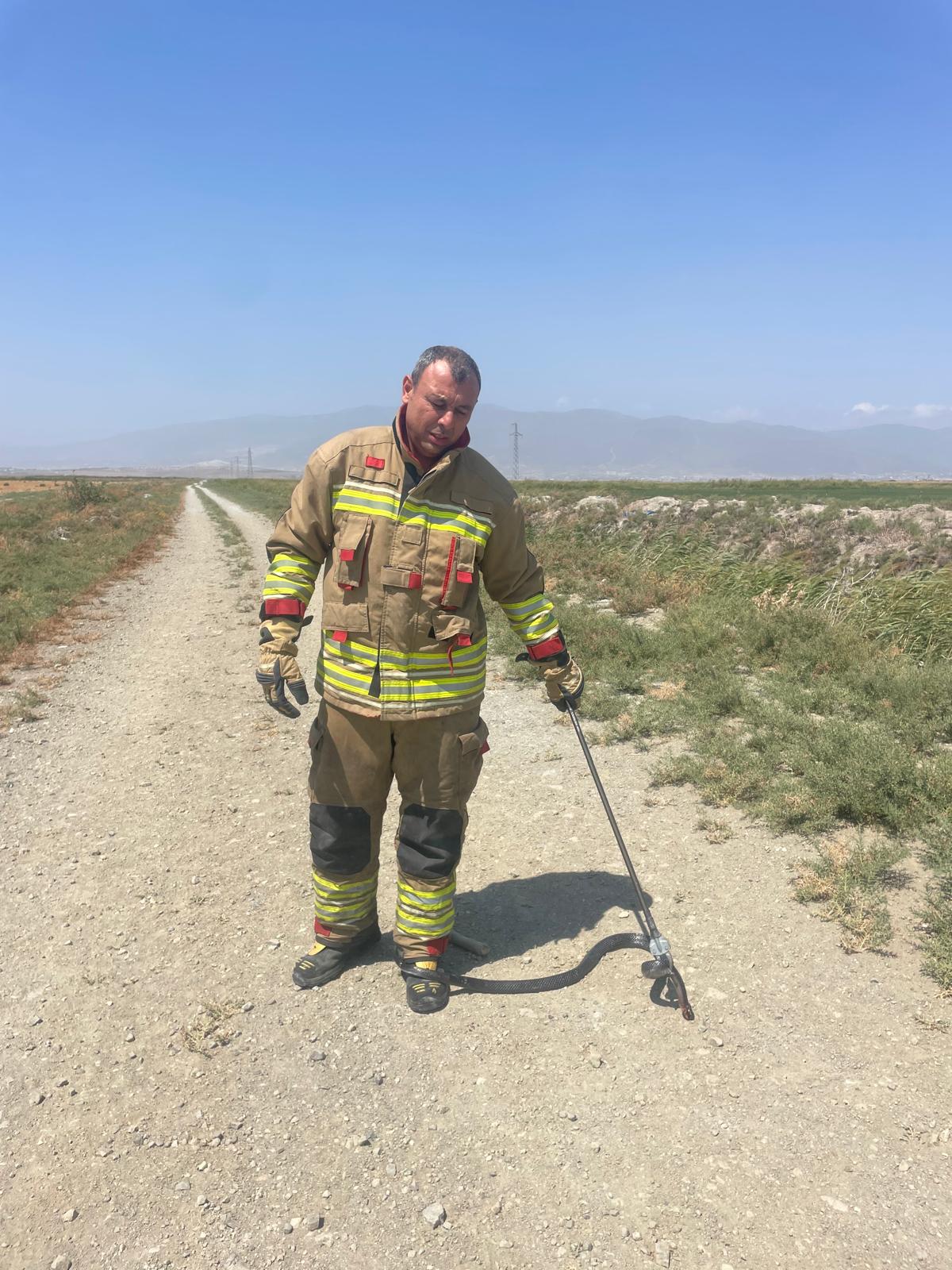 Hatay’ın merkez ilçesi Antakya’da Suvatlı Mahallesi’ndeki bir eve giren yılan,