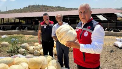 Hatay Tarım ve Orman İl Müdürü Abdurrahman Türkmen, il genelindeki