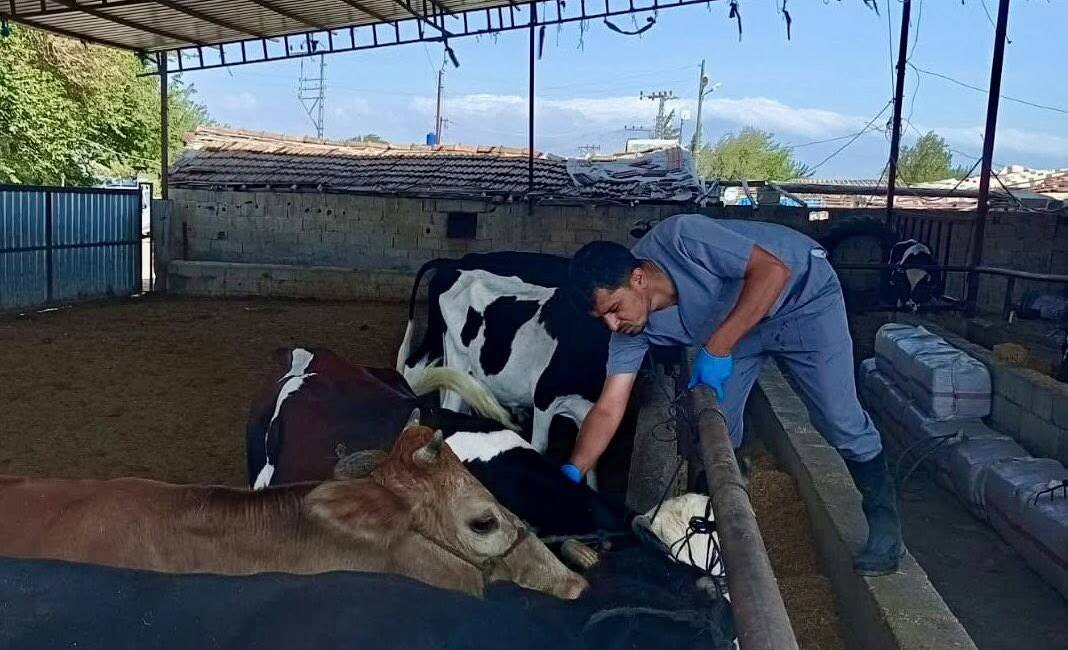 Hatay Tarım ve Orman İl Müdürlüğü, ülke genelinde görülen SAT-1