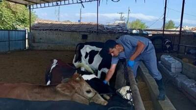 Hatay Tarım ve Orman İl Müdürlüğü, ülke genelinde görülen SAT-1