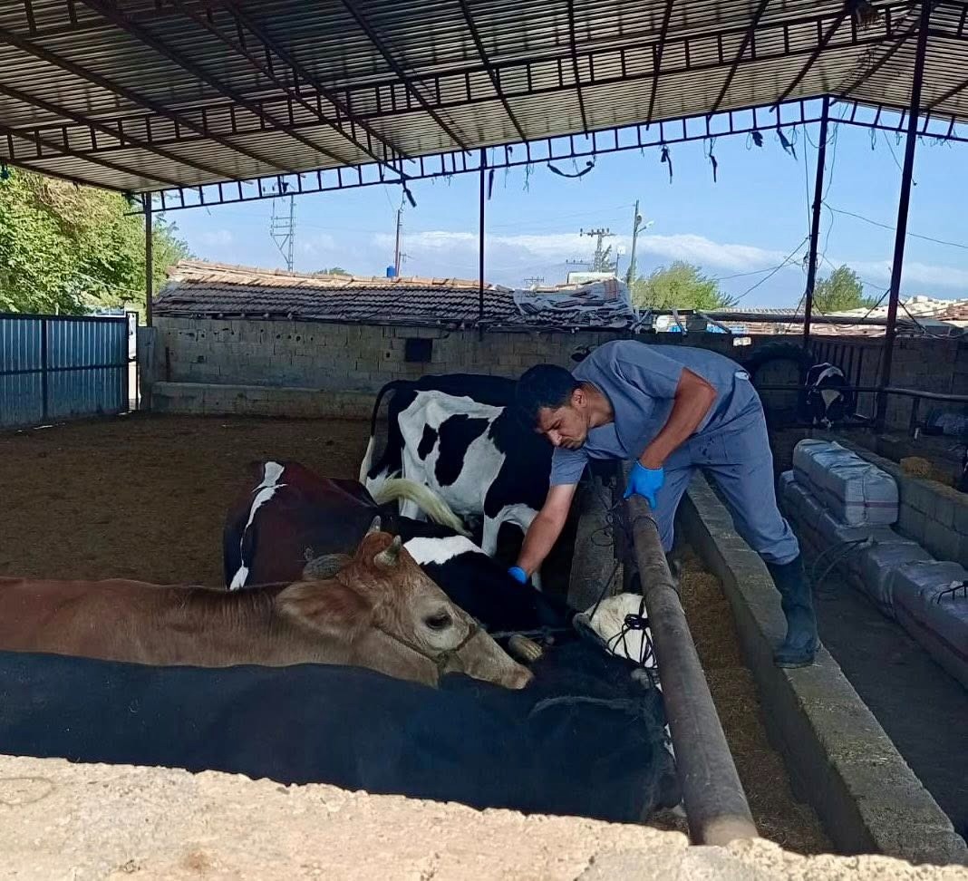 Hatay Tarım ve Orman İl Müdürlüğü, ülke genelinde görülen SAT-1