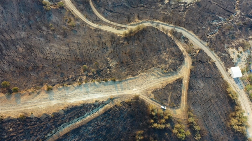 Akdeniz Hububat, Bakliyat, Yağlı Tohumlar ve Mamulleri İhracatçıları Birliği (AHBİB),