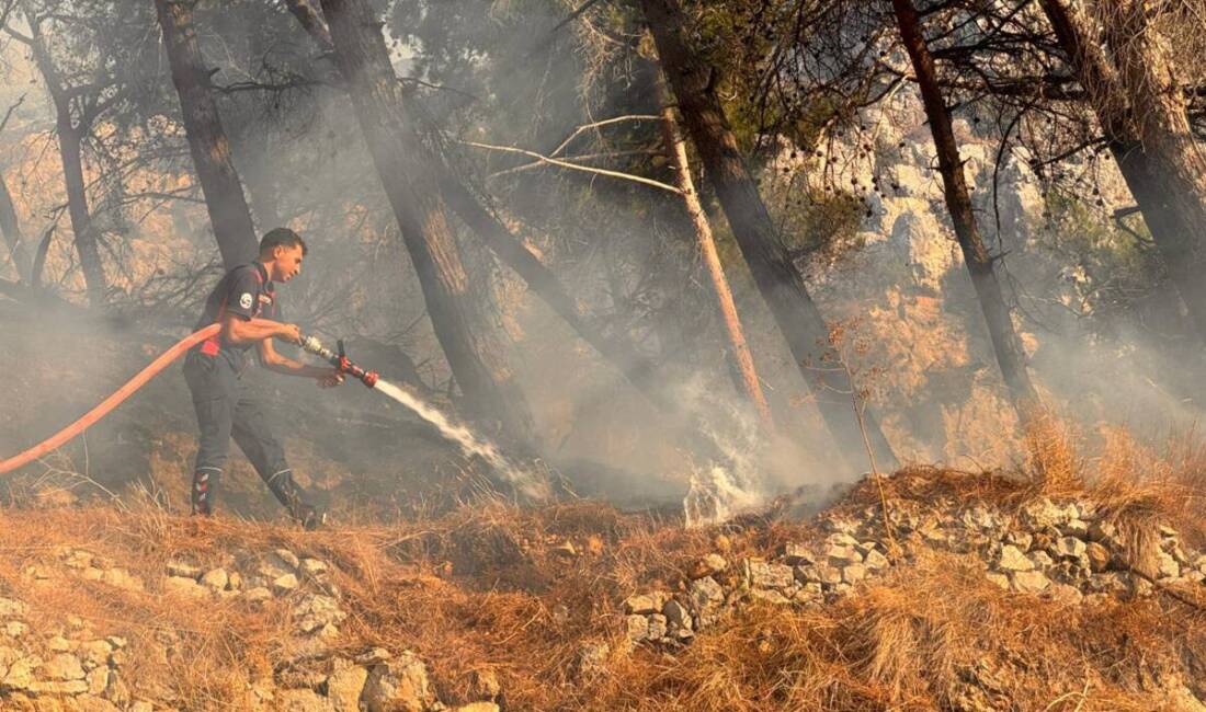 Hatay’ın merkez Antakya ilçesinde Habib-i Neccar Dağı eteklerinde dün çıkan