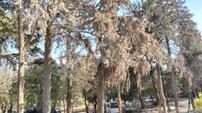 Antakya’nın merkezinde, Asi Nehri kıyısında yer alan ve II. Abdülhamit