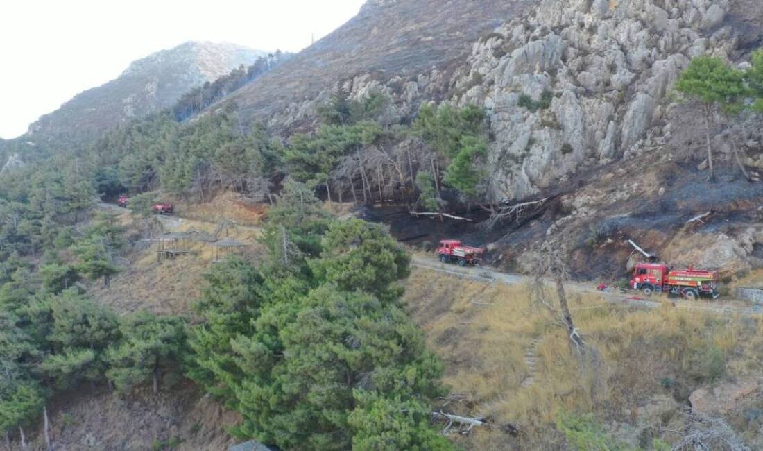 Hatay’ın Antakya ilçesinde dün akşam saatlerinde başlayan ve rüzgarın etkisiyle
